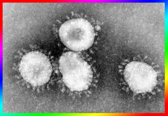 Coronavirus toll reaches 170, over 7786 found positive 